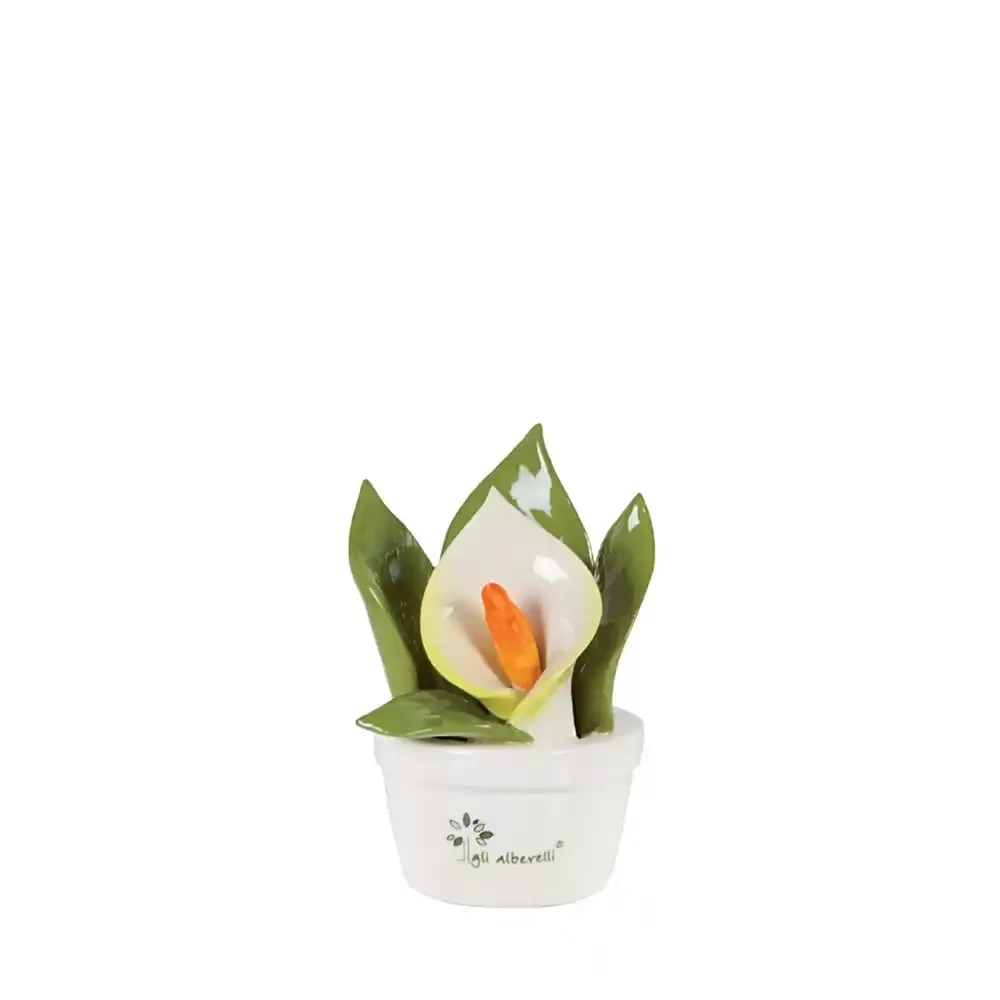 Gli Alberelli – Pianta Profumina Calla