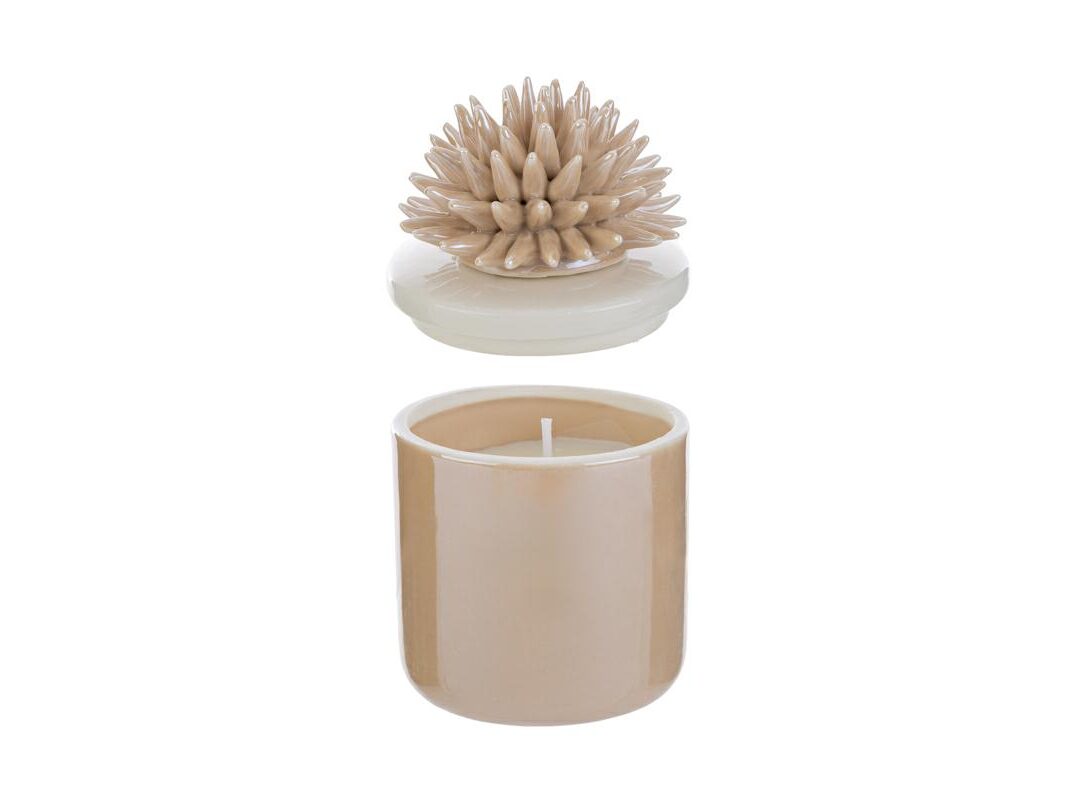 BOMBONIERA MATRIMONIO SCATOLA CANDELA CORALLO PORCELLANA CON ASTUCCIO